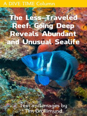 cover image of The Less Traveled Reef